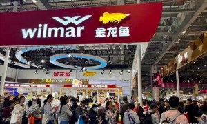 新加坡总理公开支持高市后，被罚18亿账单的金龙鱼，凉得更快了