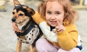 江苏3岁女童金发蓝眼引围观，母亲：生娃后才知丈夫是中俄混血，女儿学过俄语但目前没看出天赋