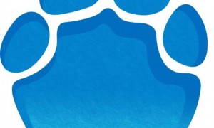 四川34岁女销售员陪酒后身亡，醉倒仍被催促晚上线上开会，公司辩称不存在劳动关系