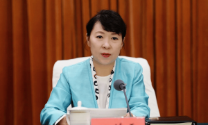 重磅！正部级王莉霞被查